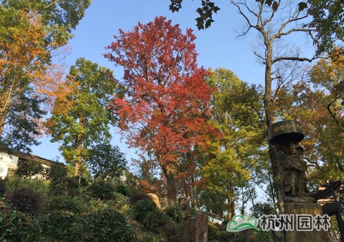 彩运网(中国游)官方网站