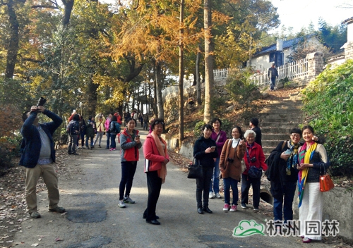 彩运网(中国游)官方网站