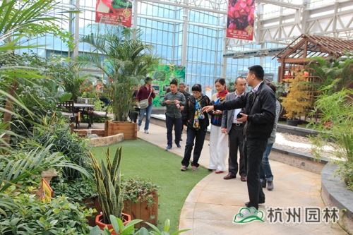 彩运网(中国游)官方网站