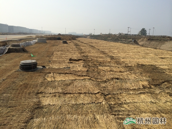 彩运网(中国游)官方网站