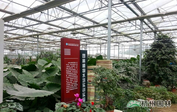 彩运网(中国游)官方网站