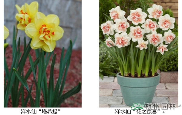 彩运网(中国游)官方网站