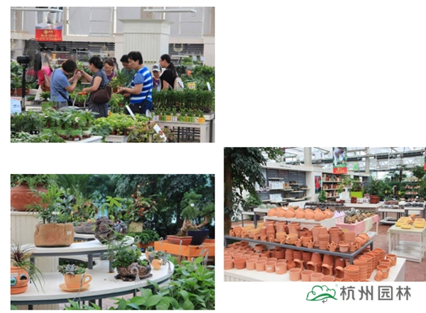 彩运网(中国游)官方网站