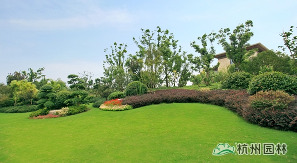 彩运网(中国游)官方网站