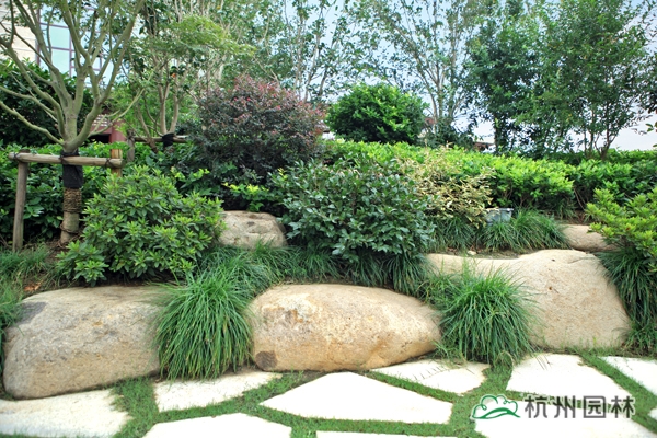 彩运网(中国游)官方网站