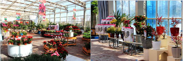 彩运网(中国游)官方网站