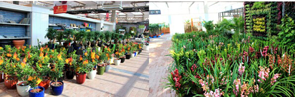 彩运网(中国游)官方网站