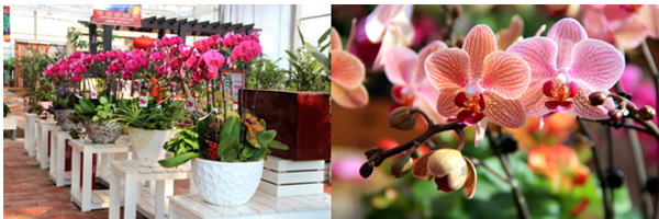 彩运网(中国游)官方网站