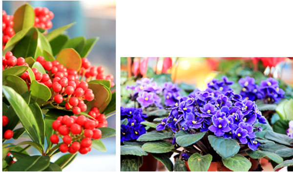 彩运网(中国游)官方网站