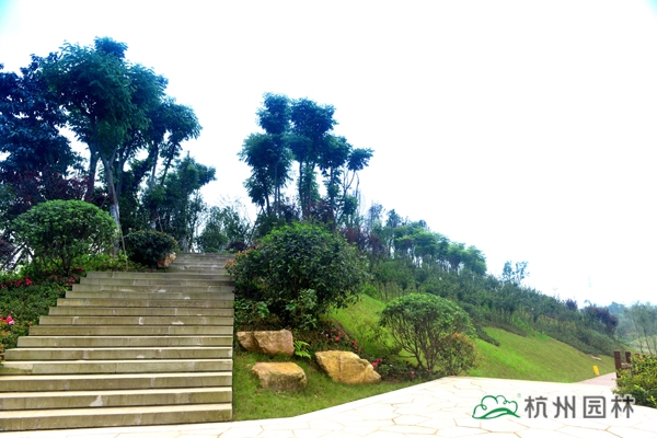 彩运网(中国游)官方网站