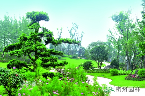 彩运网(中国游)官方网站