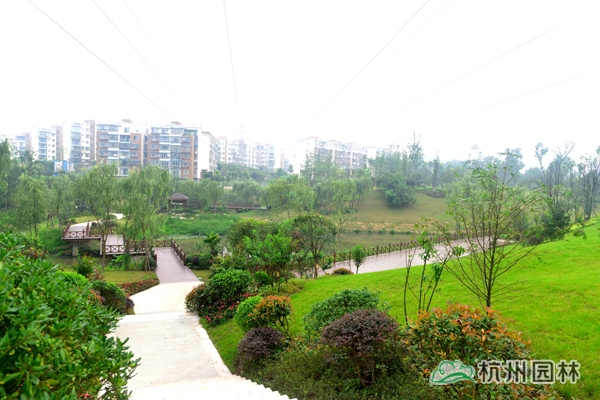 彩运网(中国游)官方网站