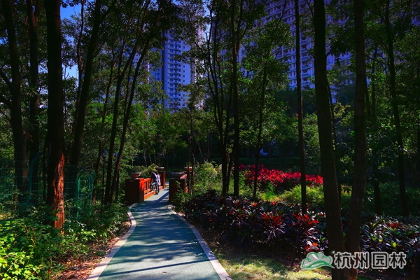 彩运网(中国游)官方网站