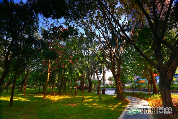 彩运网(中国游)官方网站