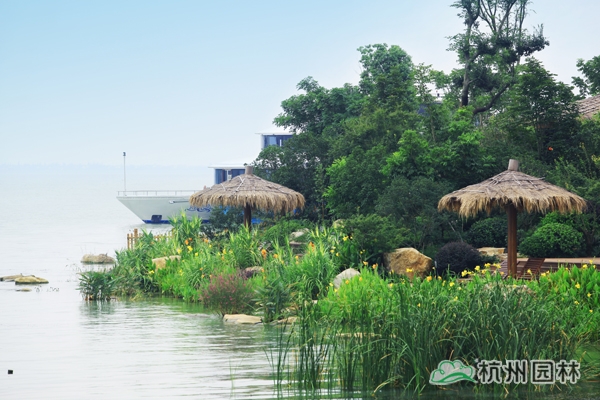 彩运网(中国游)官方网站