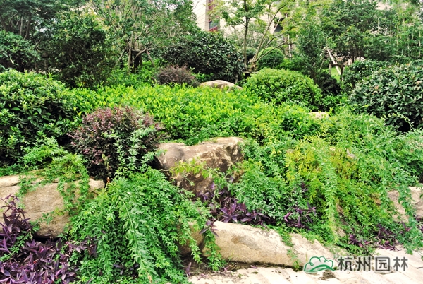 彩运网(中国游)官方网站