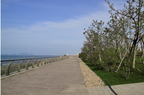 彩运网(中国游)官方网站