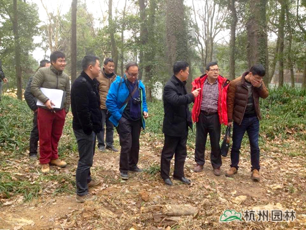 彩运网(中国游)官方网站