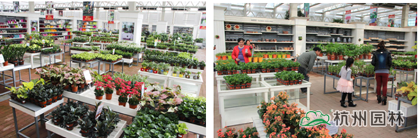 彩运网(中国游)官方网站