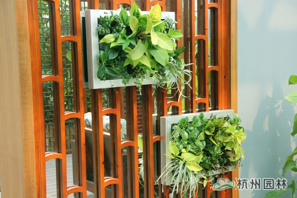 彩运网(中国游)官方网站