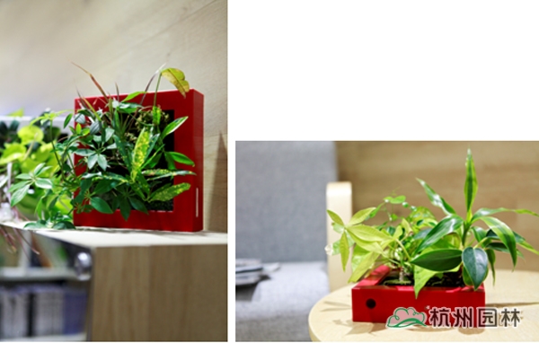 彩运网(中国游)官方网站