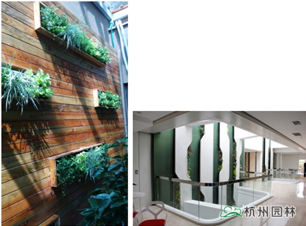 彩运网(中国游)官方网站