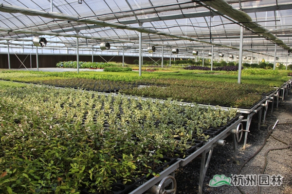 彩运网(中国游)官方网站