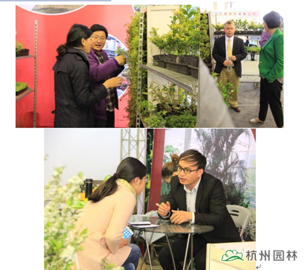 彩运网(中国游)官方网站