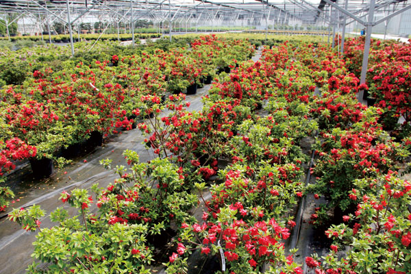 彩运网(中国游)官方网站