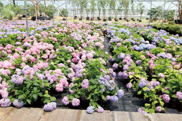 彩运网(中国游)官方网站