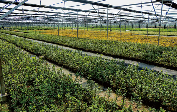 彩运网(中国游)官方网站