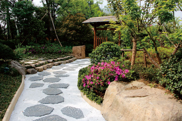 彩运网(中国游)官方网站