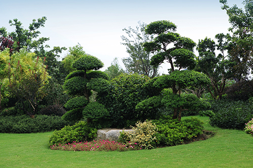 彩运网(中国游)官方网站