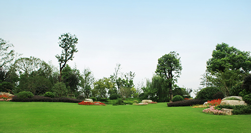 彩运网(中国游)官方网站