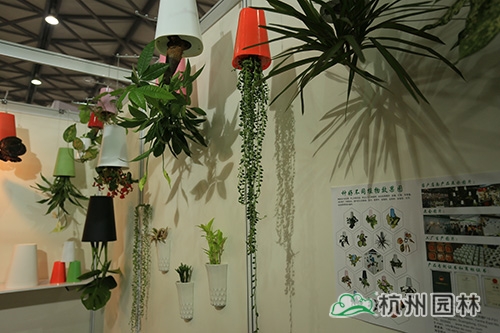 彩运网(中国游)官方网站