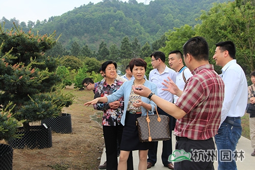 彩运网(中国游)官方网站