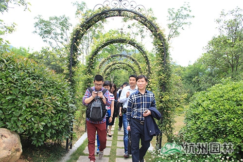 彩运网(中国游)官方网站