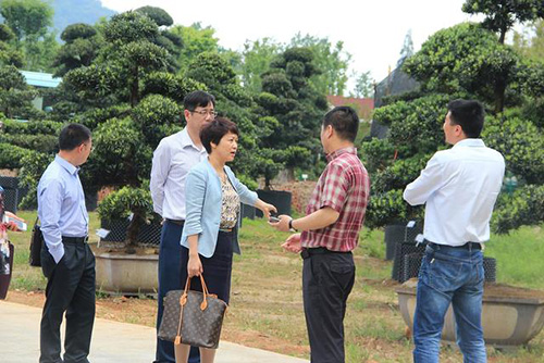 彩运网(中国游)官方网站