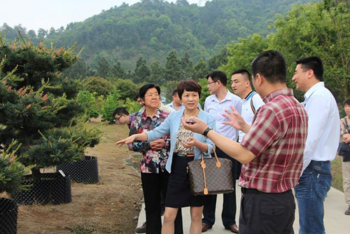 彩运网(中国游)官方网站