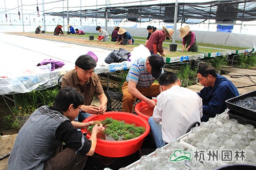 彩运网(中国游)官方网站