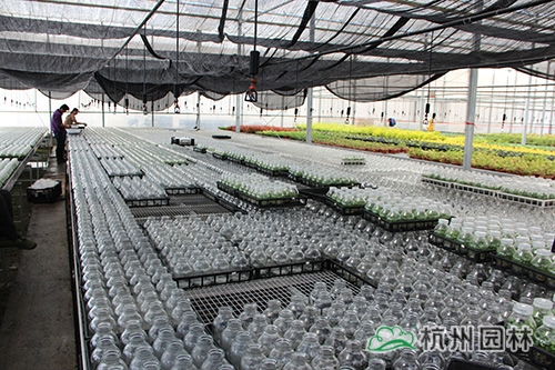 彩运网(中国游)官方网站