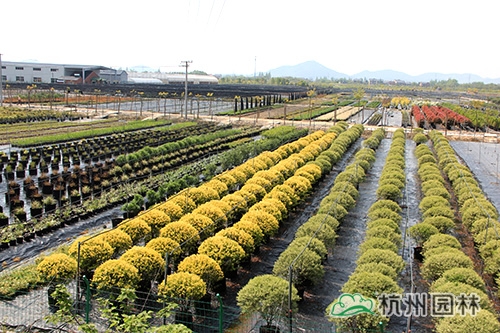 彩运网(中国游)官方网站