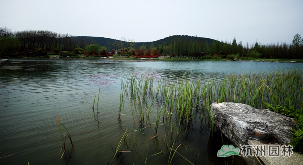 彩运网(中国游)官方网站