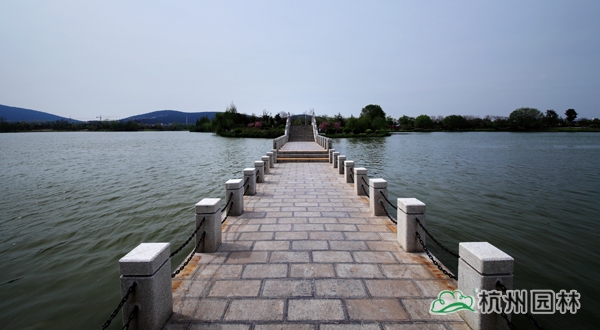 彩运网(中国游)官方网站