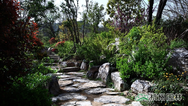 彩运网(中国游)官方网站