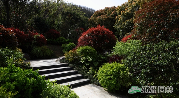 彩运网(中国游)官方网站