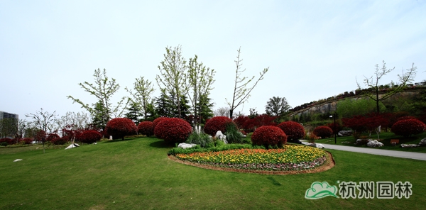 彩运网(中国游)官方网站