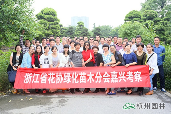 彩运网(中国游)官方网站