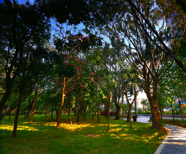 彩运网(中国游)官方网站