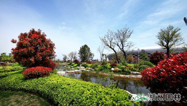 彩运网(中国游)官方网站